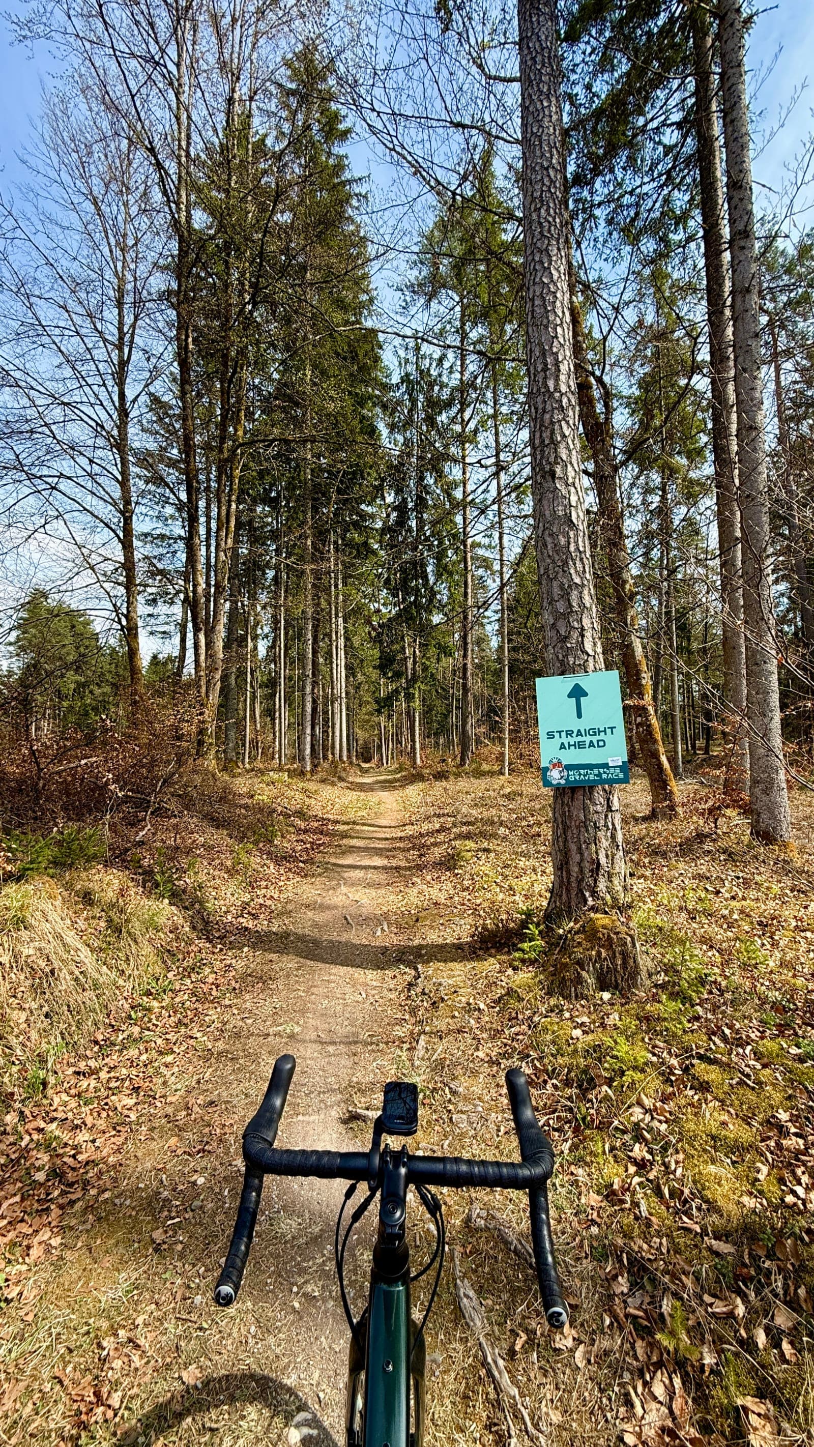 Forest singletrack section from the Wörthersee Gravel Race course.