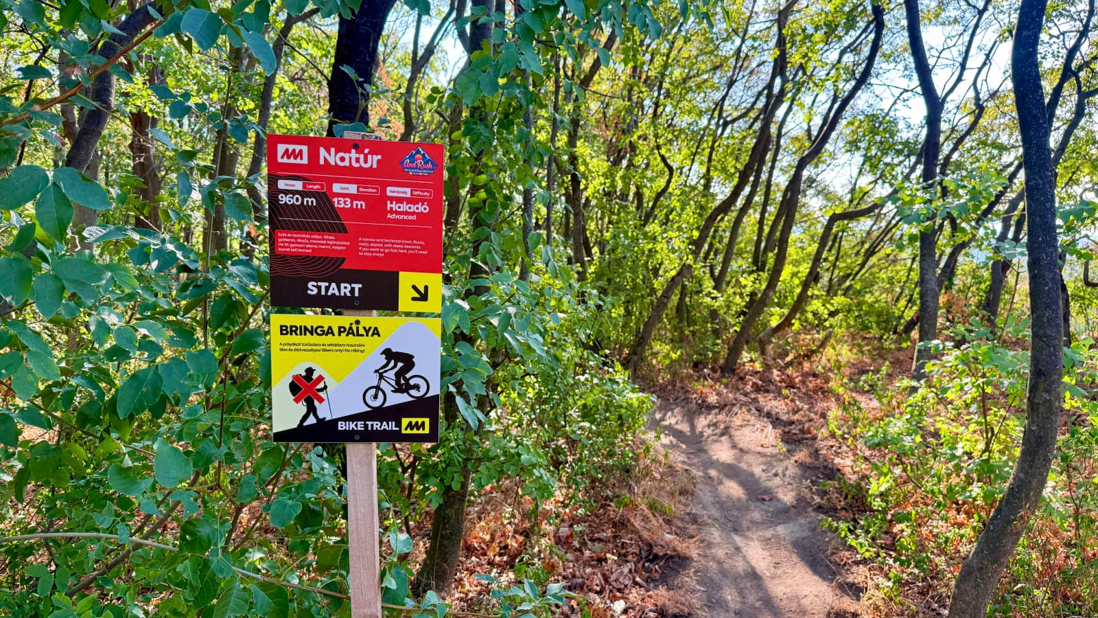 A Bringa bike trail start sign marked Advanced, showing 960 and 133 figures, beside a dirt singletrack in the Mecsek forest near Pécs.