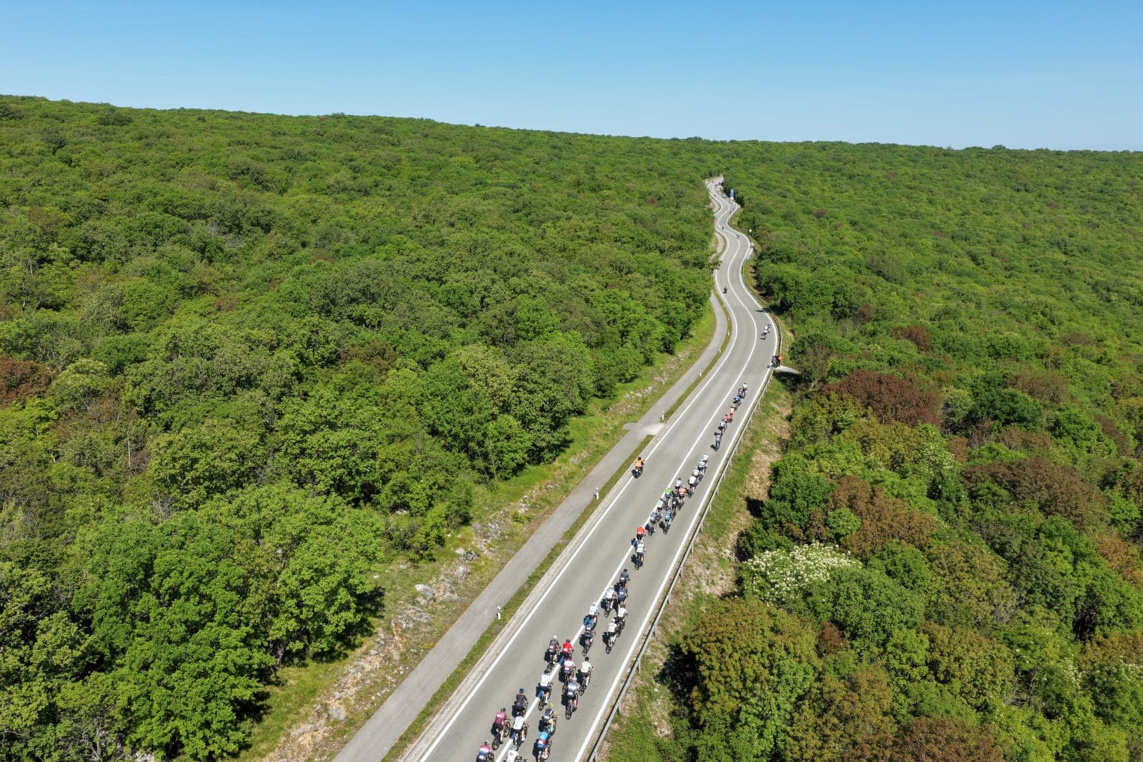 Aerial photo of the Krk Granfondo peloton stretched along a green island road.