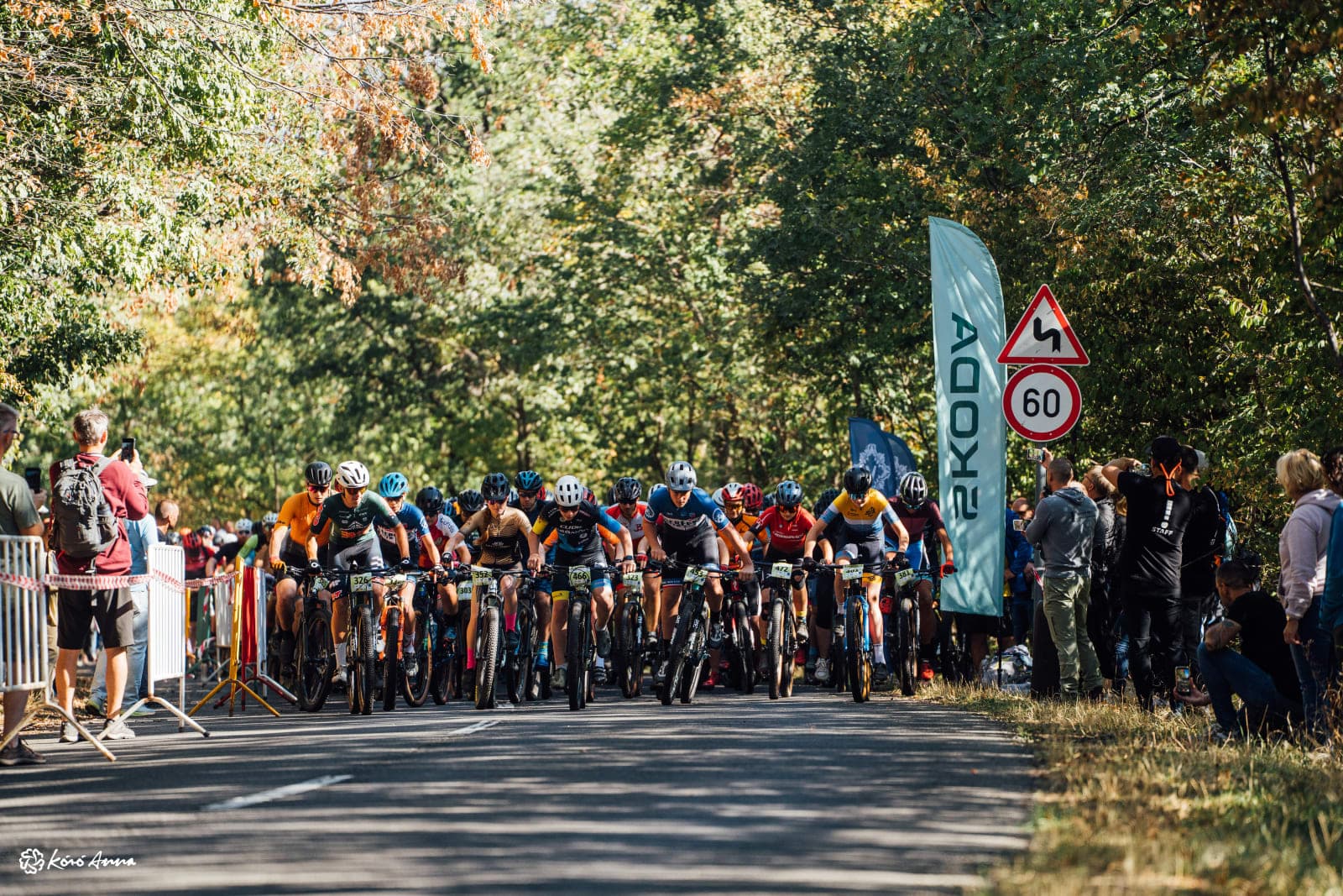 Riders lined up on a tree-lined road at the start of the Pécs MTB Marathon 2026 in Hungary, with spectators on both sides.